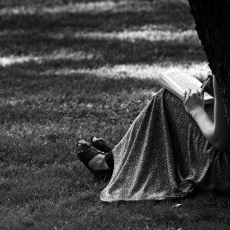 What Is Fiction For?