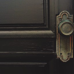 A Brief Emergence from the Writer Den